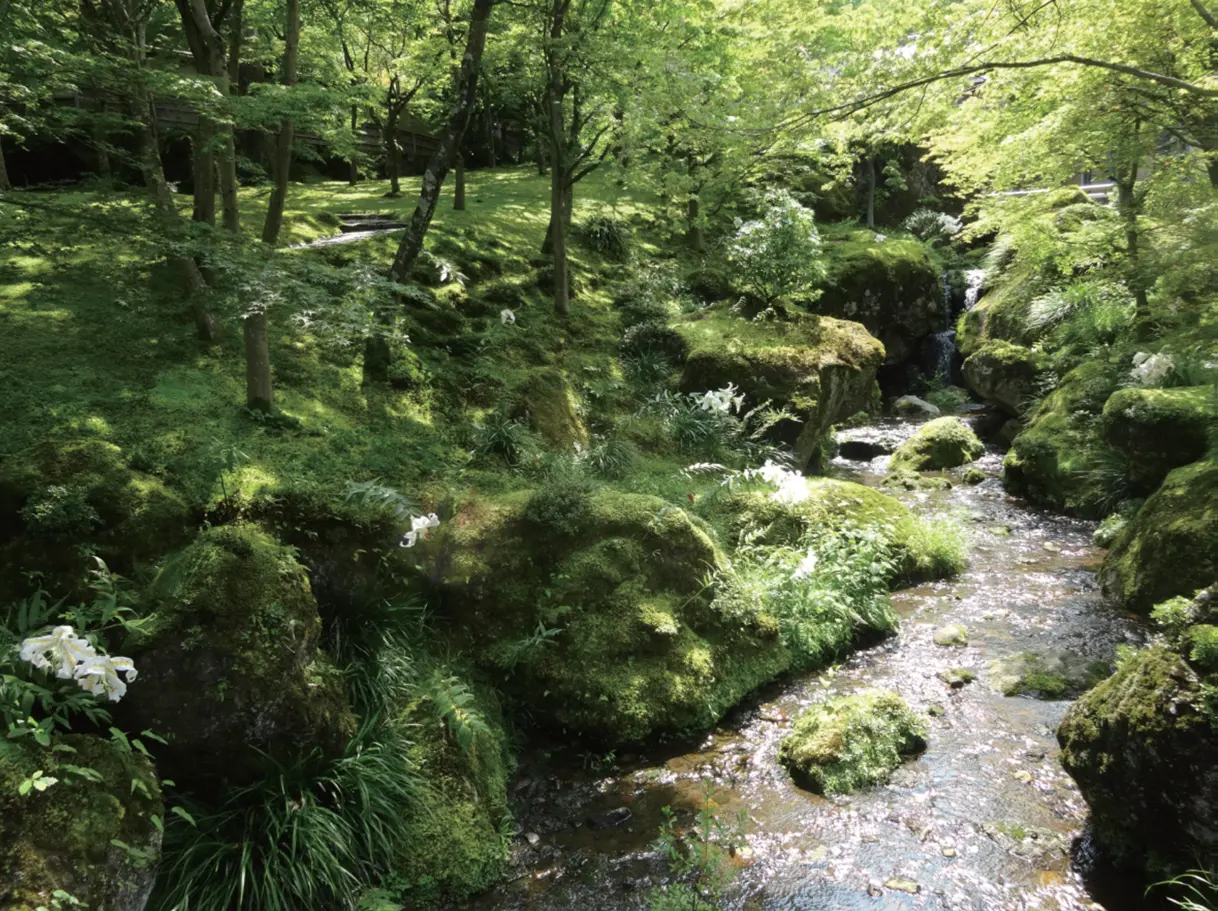 名勝神仙郷 近代庭園の本質的価値と庭園の景と展望の継承