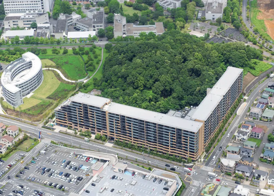 大規模集合住宅地内に保全された雑木林の維持管理