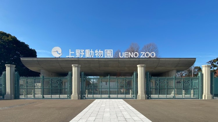 業務案内C