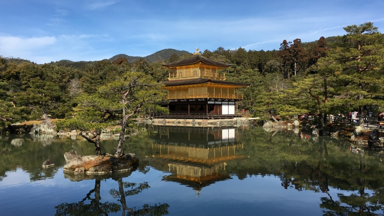 業務案内