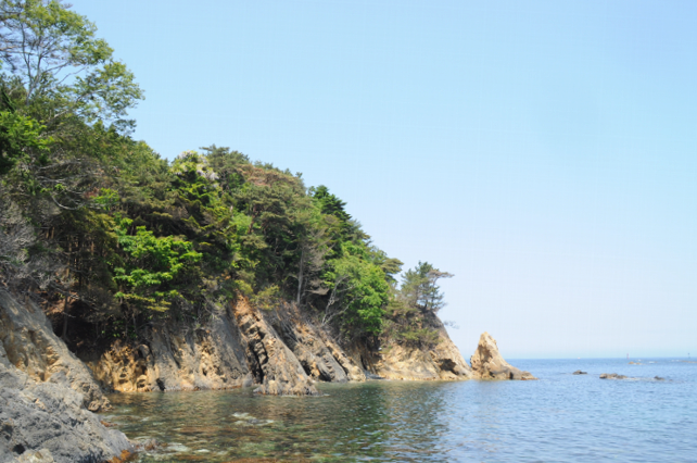 国立・国定公園指定植物の選定基準改定に伴う指定植物リストの効率的な更新について