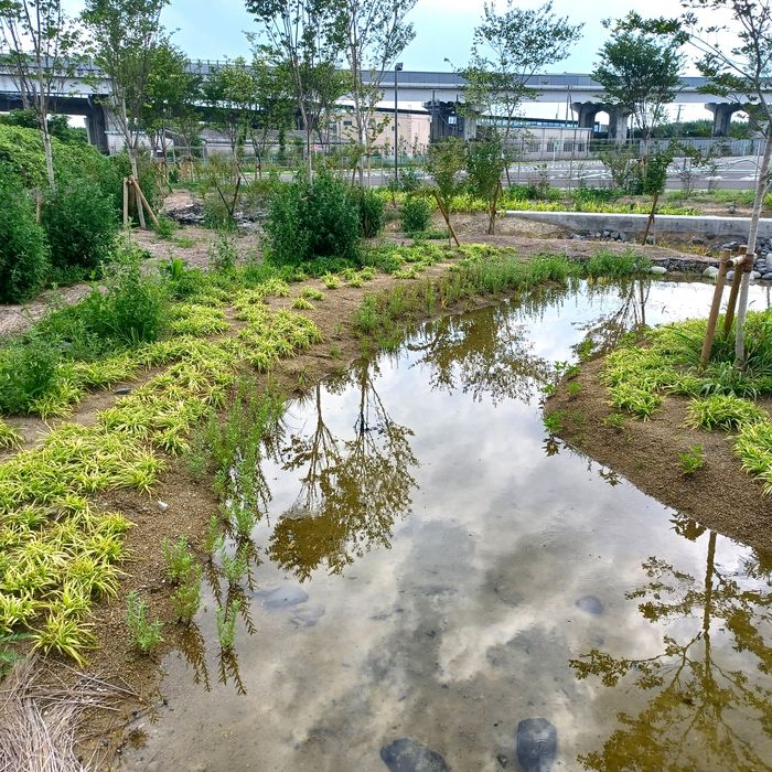 物流施設における生物多様性に貢献する緑地づくり