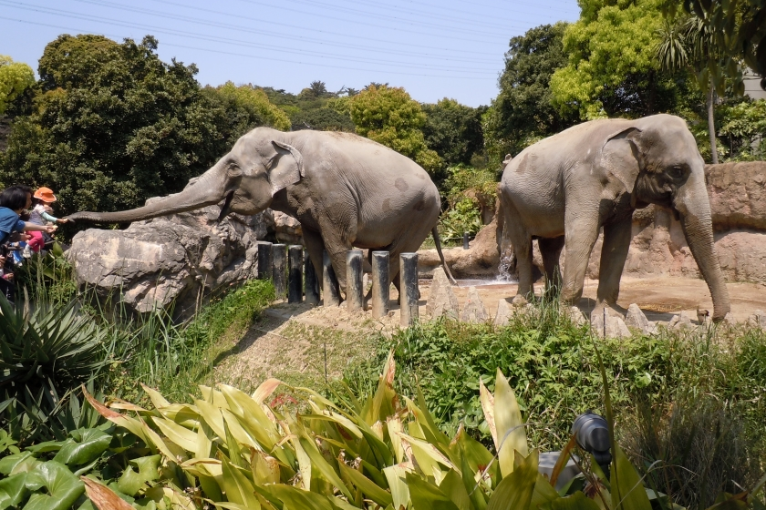 動植物園