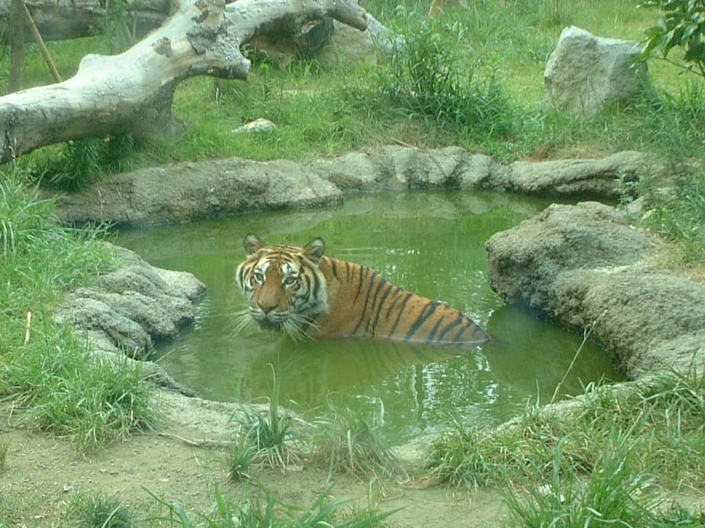 2002