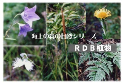 2005