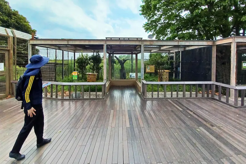 動物園の現地視察の様子
